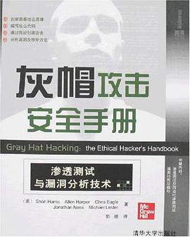 灰帽攻击安全手册