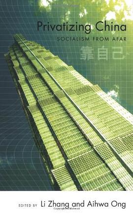Privatizing China