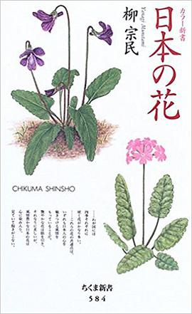 日本の花