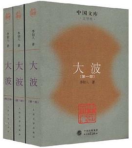 大波(全三册)