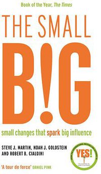 The small BIG (Profile Books 2014)