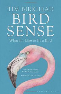 Bird Sense (Bloomsbury Publishers 2013)