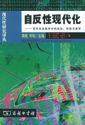 自反性现代化