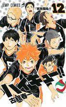 ハイキュー!!(12) (集英社 2014)