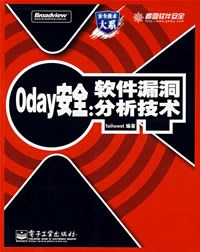 0day安全：软件漏洞分析技术