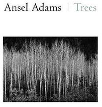 Ansel Adams (Bulfinch 2004)