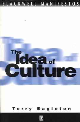 The Idea of Culture