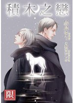 積木之戀