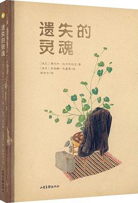 遗失的灵魂