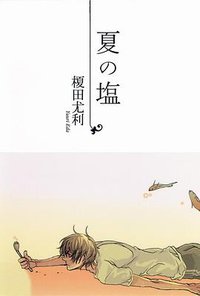 夏の塩 (大洋図書 2009)