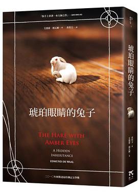 琥珀眼睛的兔子
