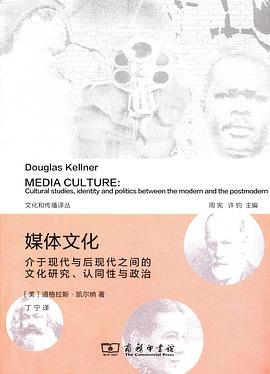 媒体文化