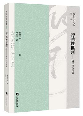 跨越性批判