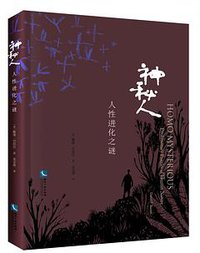 神秘人 (知识产权出版社 2015)