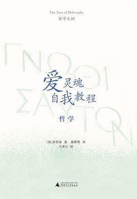 爱灵魂自我教程