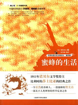 蜜蜂的生活
