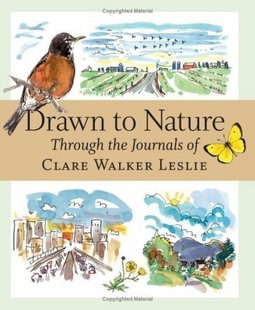 Drawn to Nature