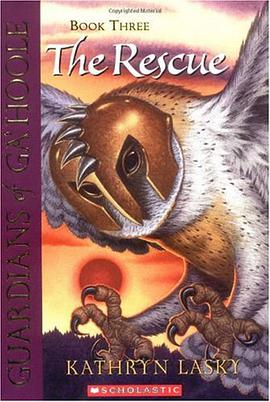 The Guardians of Ga’Hoole Book Three: The Rescue