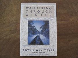 Wandering Through Winter