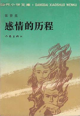 感情的历程