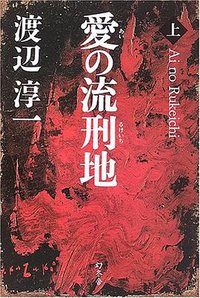 愛の流刑地〈上〉 (幻冬舎 2006)