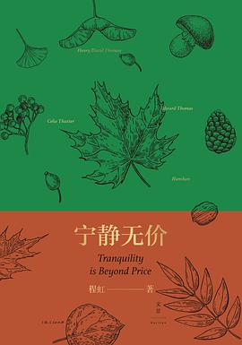 宁静无价