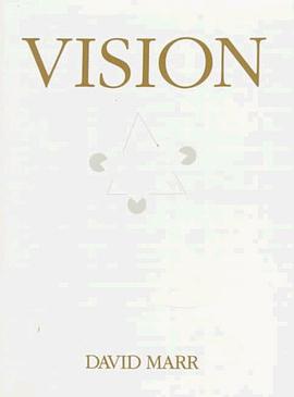 Vision