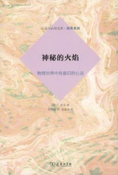 神秘的火焰