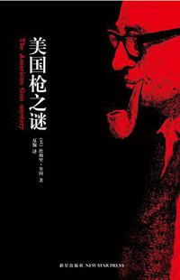 美国枪之谜 (新星出版社 2010)
