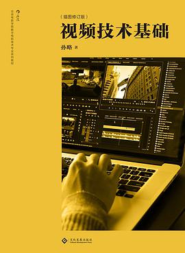 视频技术基础 (插图修订版)