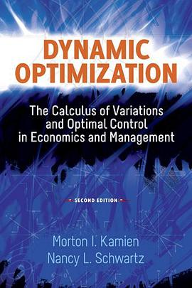 Dynamic Optimization