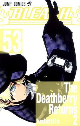 BLEACH―ブリーチ― 53