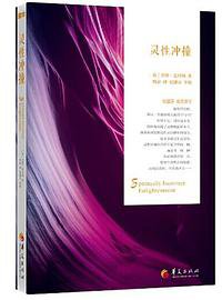 灵性冲撞 (华夏出版社 2014)