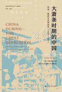 大萧条时期的中国 (江苏人民出版社 2021)
