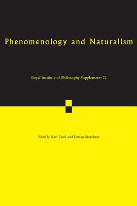 Phenomenology and Naturalism