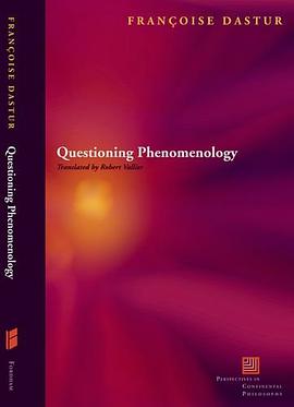 Questioning Phenomenology