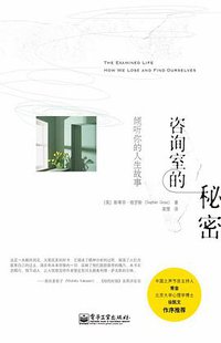 咨询室的秘密 (电子工业出版社 2014)