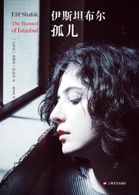 伊斯坦布尔孤儿 (上海文艺出版社 2014)