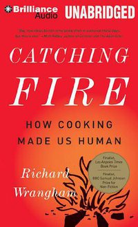 Catching Fire (Brilliance Audio 2013)