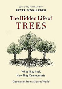 The Hidden Life of Trees