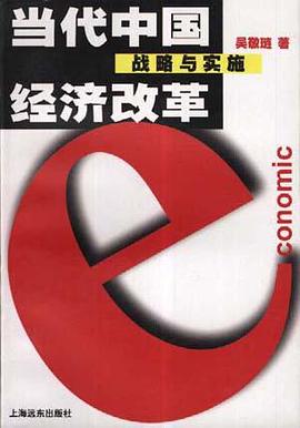 当代中国经济改革・战略与实施
