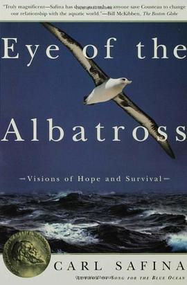Eye of the Albatross