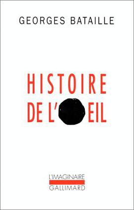 Histoire de l'œil