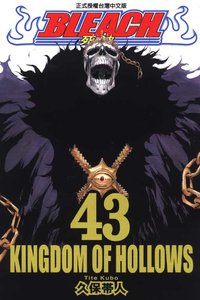 死神43 (東立 2010)