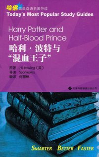 哈利·波特与“混血王子” (天津科技翻译出版公司 2009)