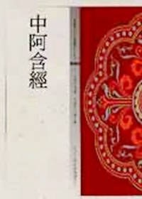中阿含經
