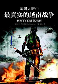 美国人眼中最真实的越南战争 (华东师范大学出版社 2014)