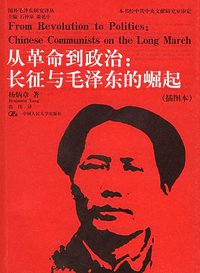 从革命到政治 (中国人民大学出版社 2006)