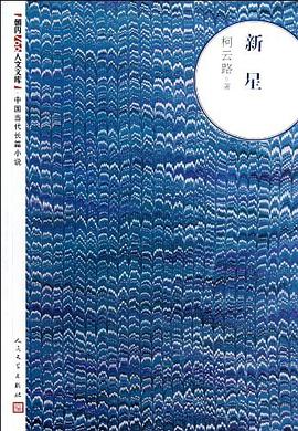 新星-中国当代长篇小说