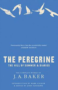 The Peregrine (Collins 2011)